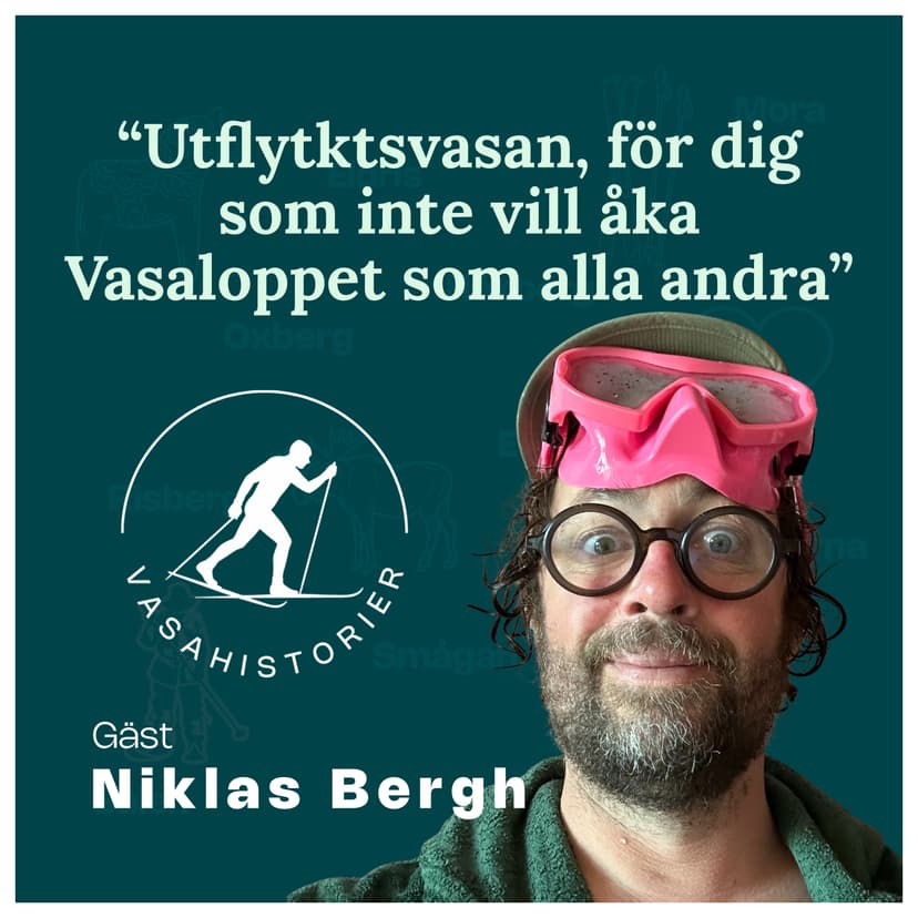 Niklas Bergh